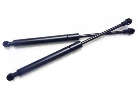 Picture for category Gas Spring