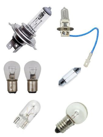 Picture for category Bulbs.