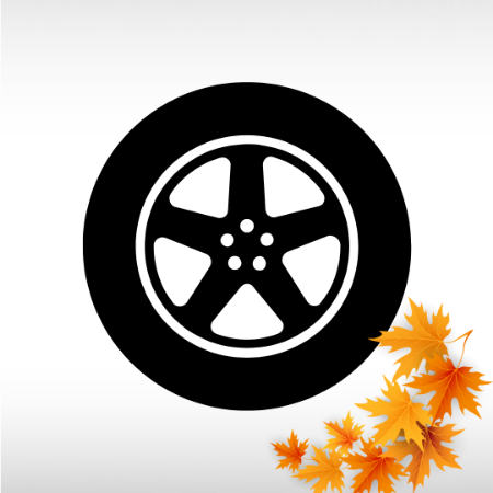Picture for category Wheel Covers